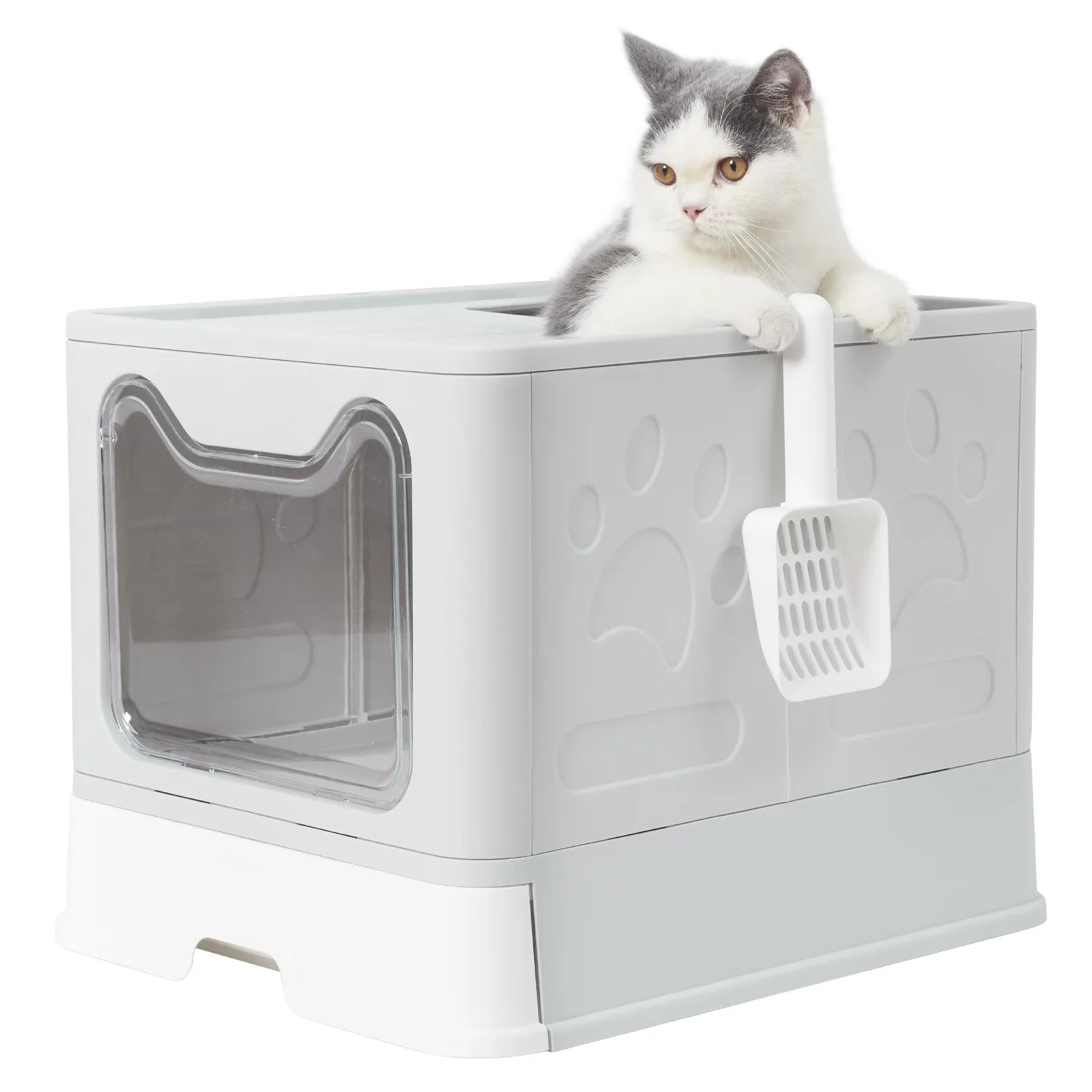 Cat Litter Box