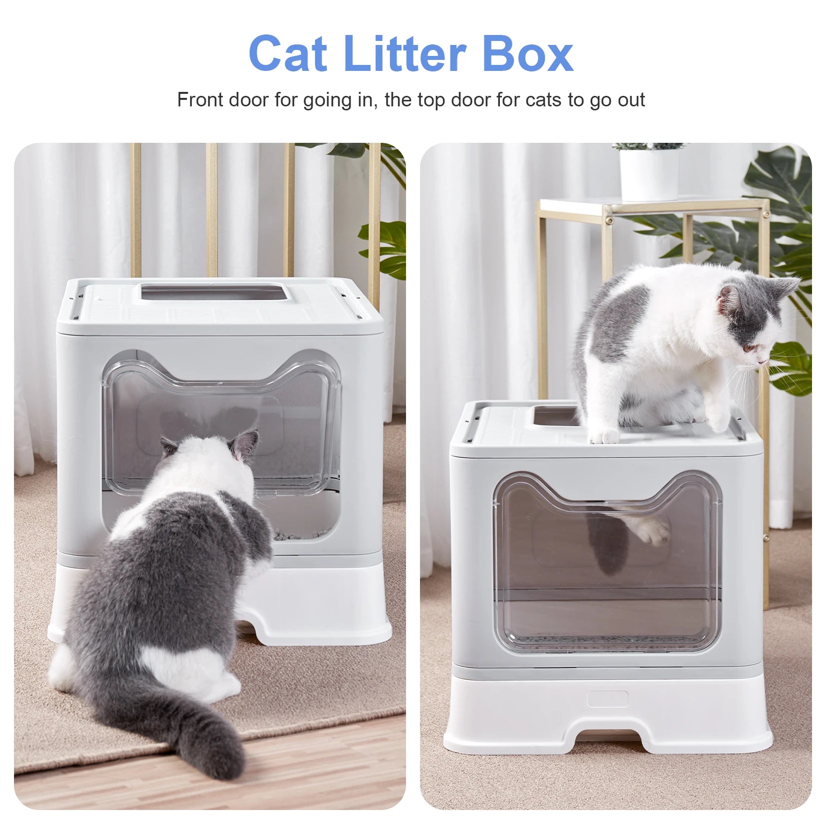 Cat Litter Box