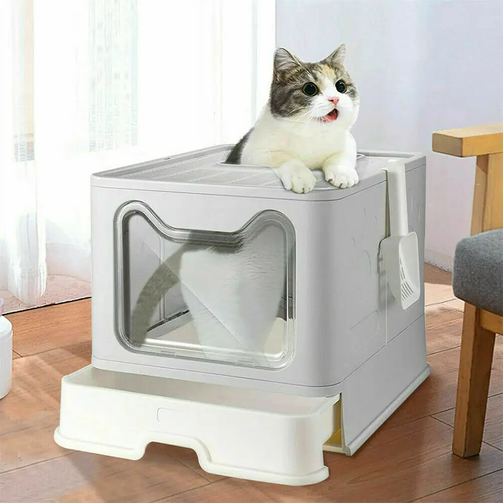 Cat Litter Box