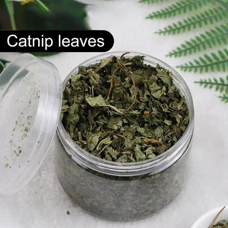 Superior Quality Cat Catnip - Natural and Organic, High Potency Menthol Cat Grass, Stimulants for Cats and Kittens