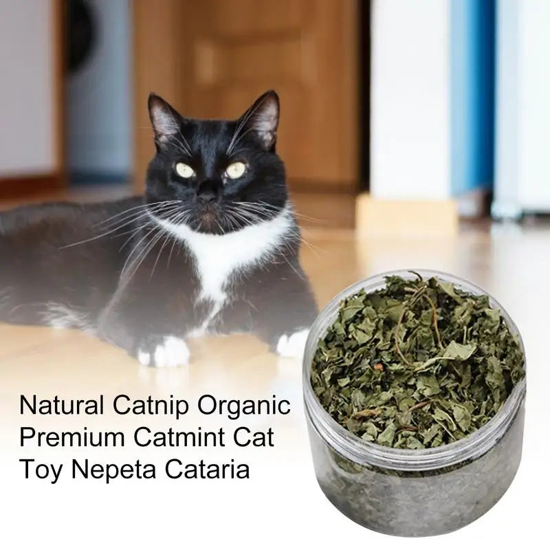 Superior Quality Cat Catnip - Natural and Organic, High Potency Menthol Cat Grass, Stimulants for Cats and Kittens