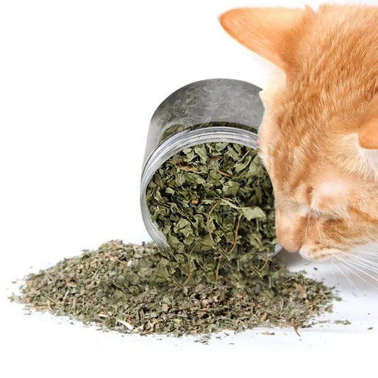 Superior Quality Cat Catnip - Natural and Organic, High Potency Menthol Cat Grass, Stimulants for Cats and Kittens