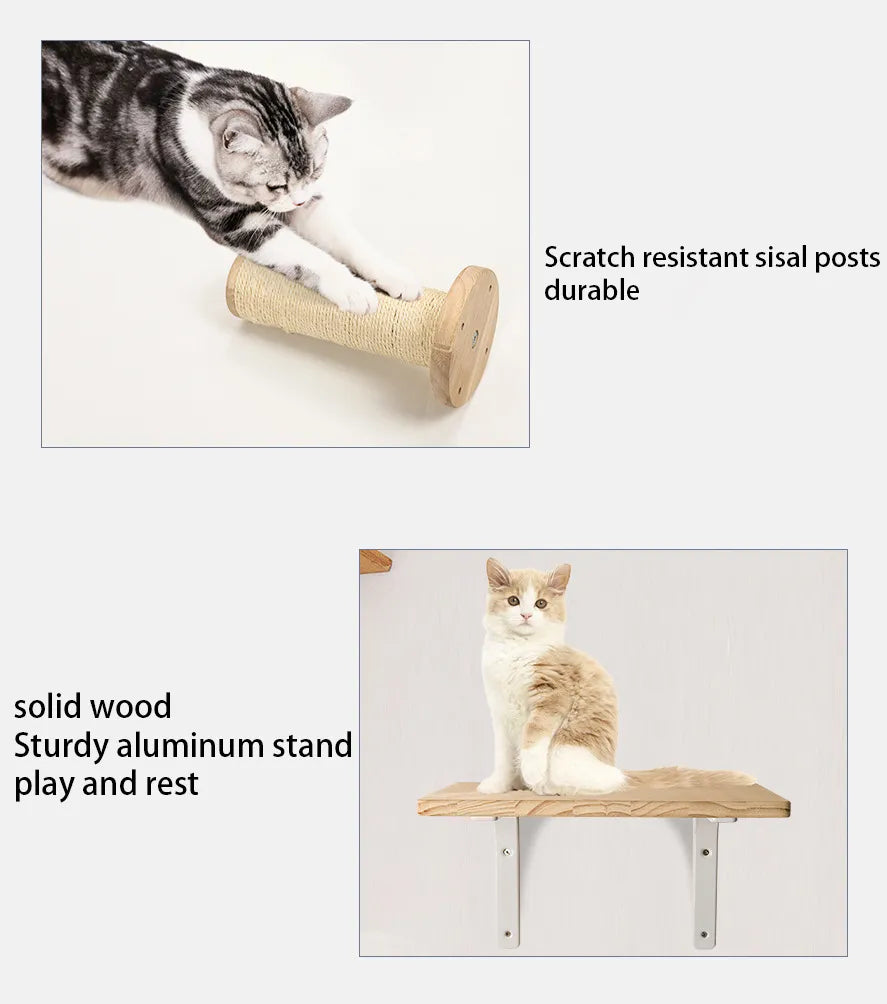 Cat Furniture 